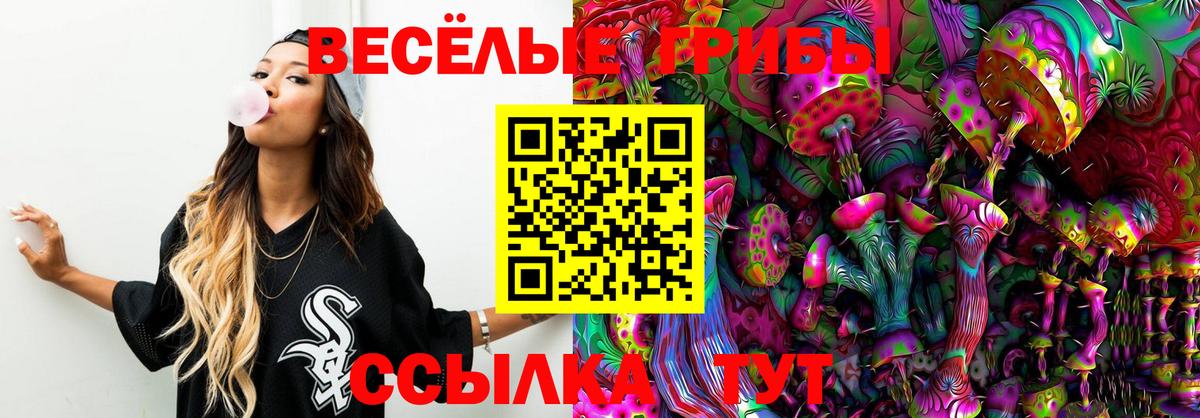 Шатура  что такое   Вход с VPN  Псилоцибиновые грибы MAGIC MUSHROOMS 